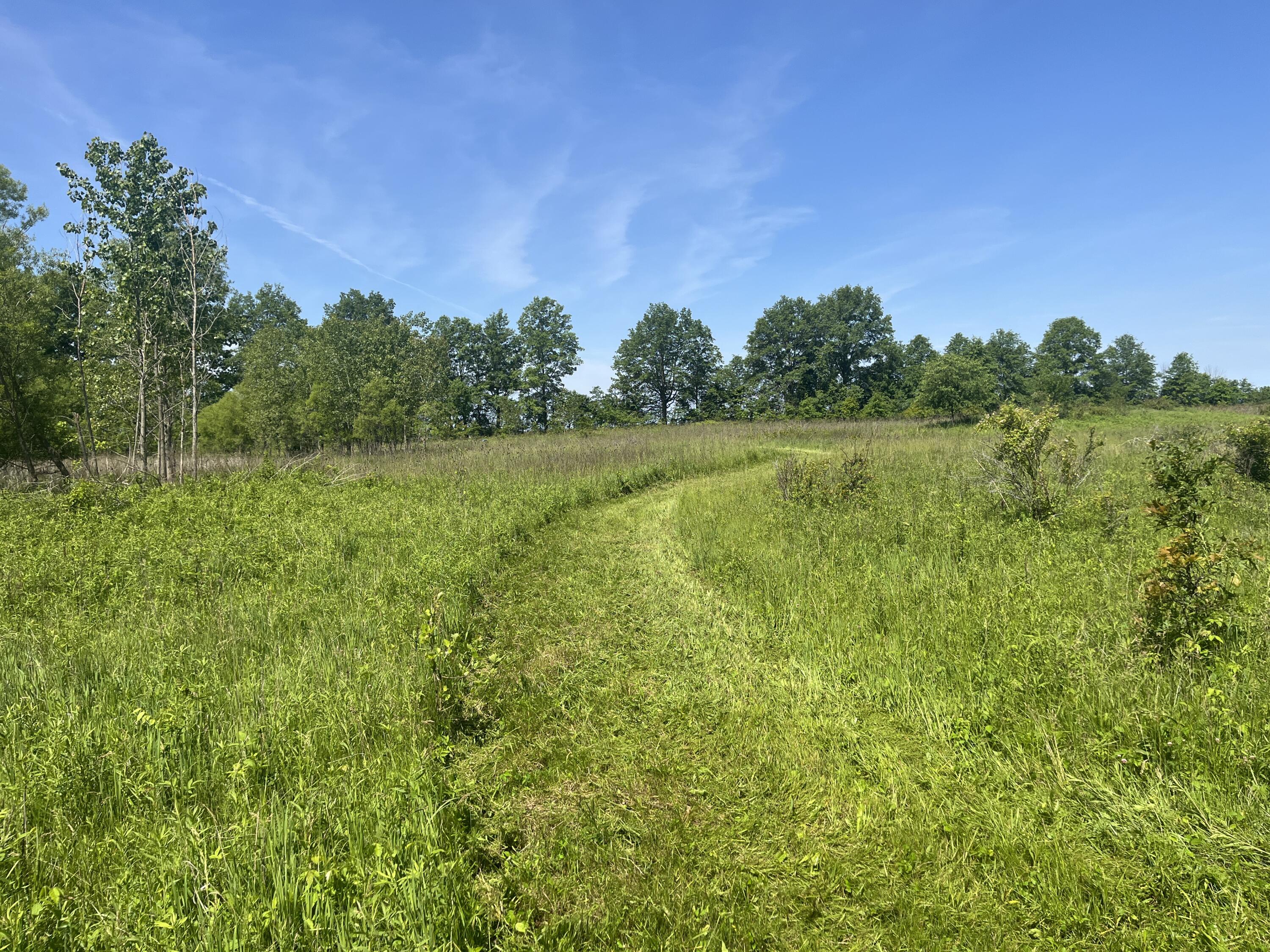 0 Boundary Road Richwood, OH 43344 - Photo 11 of 32