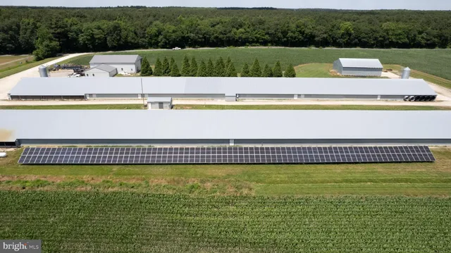 a view of a big with large trees