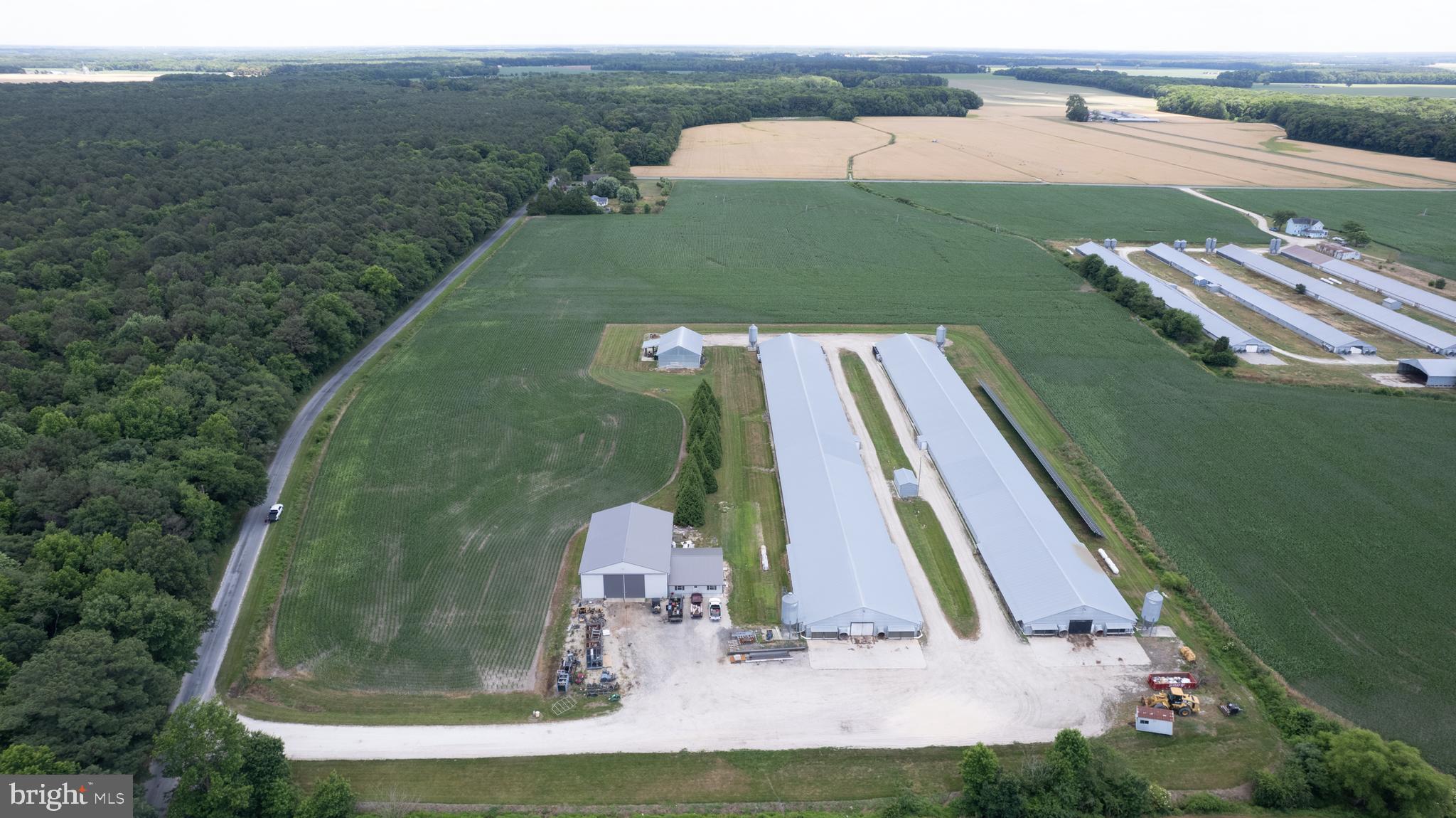 5405 Wesley Road Rhodesdale, MD 21659 - Photo 2 of 18 an aerial view of a house