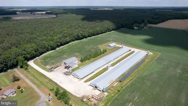 a view of a field with an ocean view