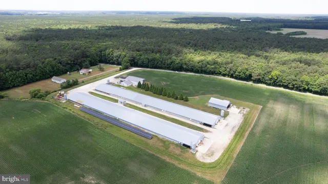 a view of a pool with a yard