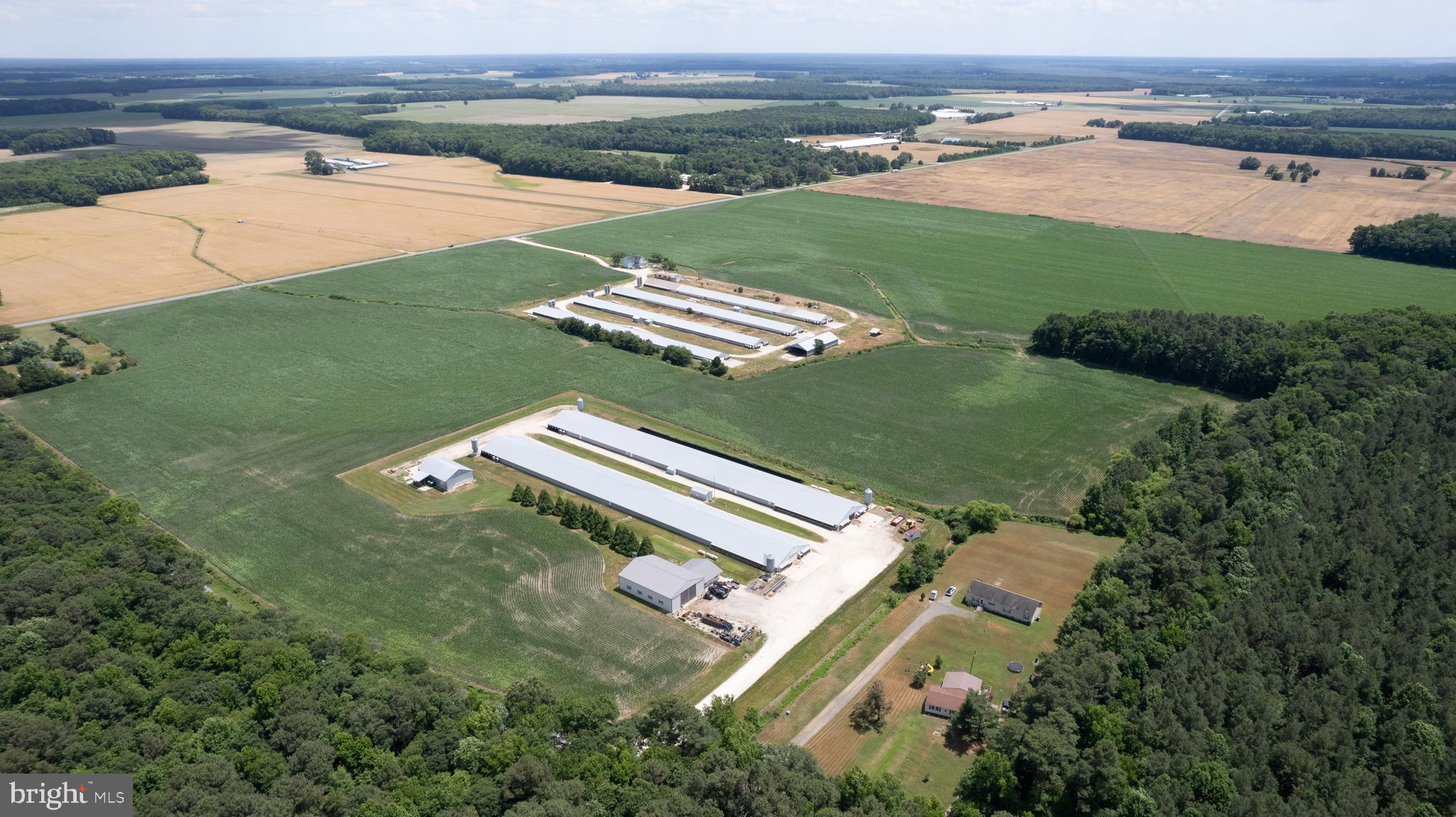5405 Wesley Road Rhodesdale, MD 21659 - Photo 8 of 18 an aerial view of a house