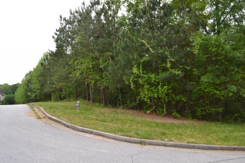 9101 Kettle Overlook Villa Rica, GA 30180 - Photo 1 of 1 Gallery Image 1