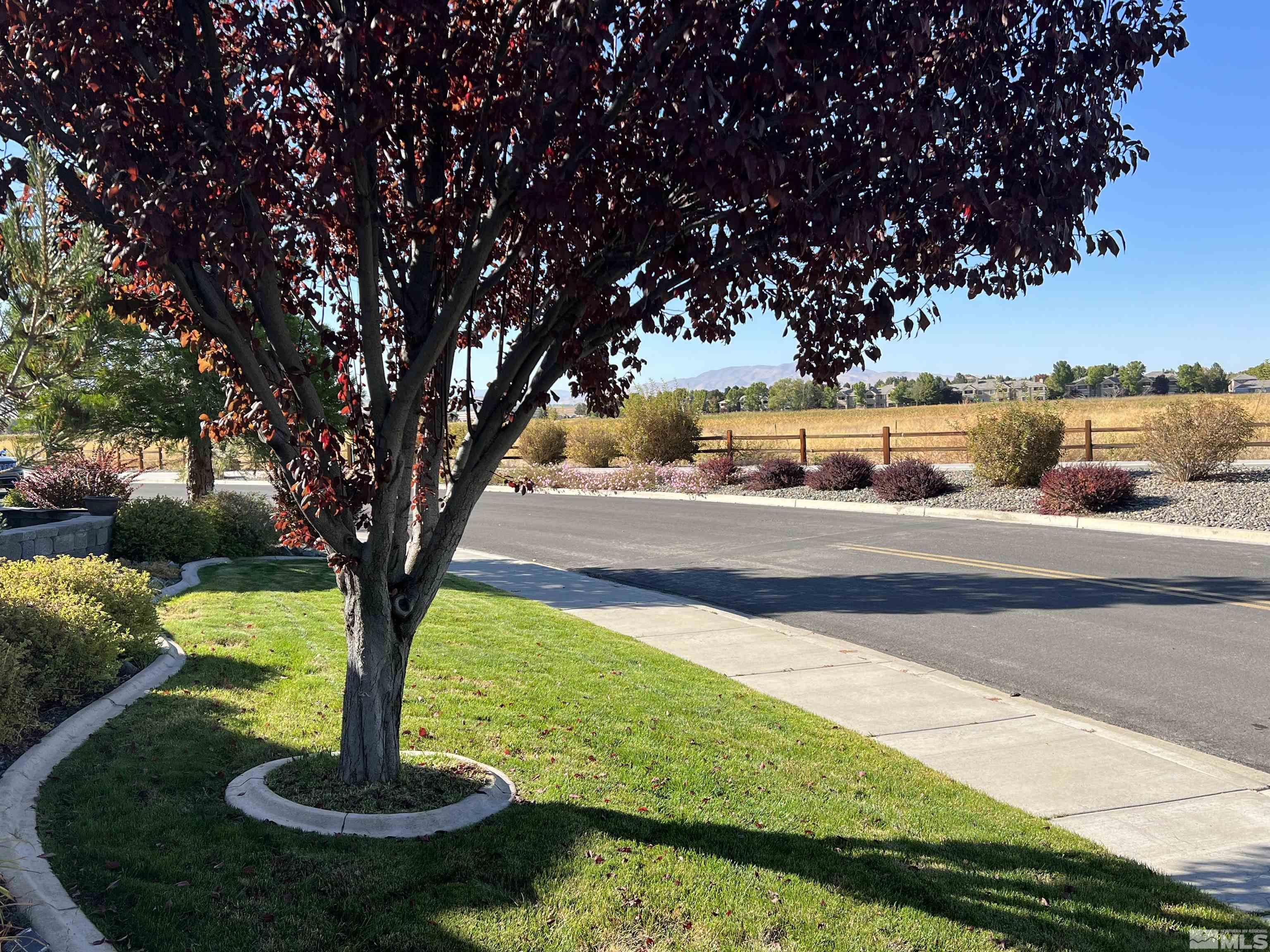 10600 Silver Cliff Way Reno, NV 89521 - Photo 1 of 24 a view of a fountain in the middle of a yard