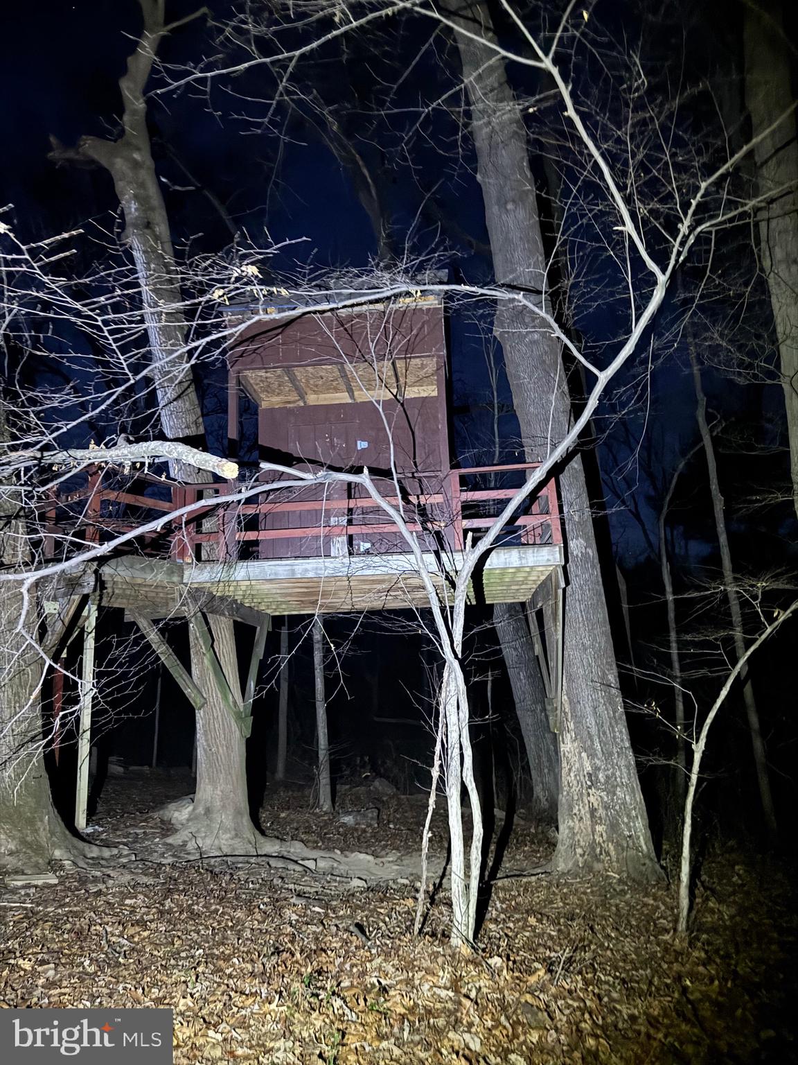 9409 Elizabeth Court Fulton, MD 20759 - Photo 33 of 75 Treehouse #1