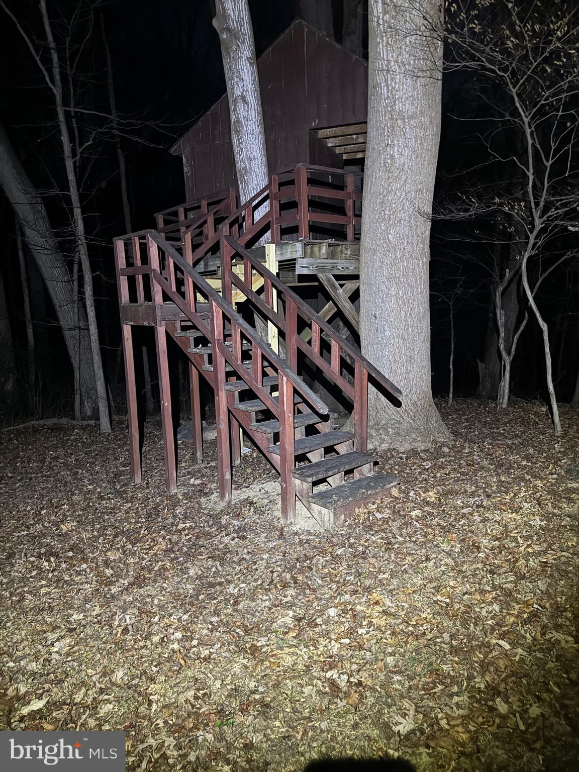9409 Elizabeth Court Fulton, MD 20759 - Photo 45 of 75 Stairs to Treehouse