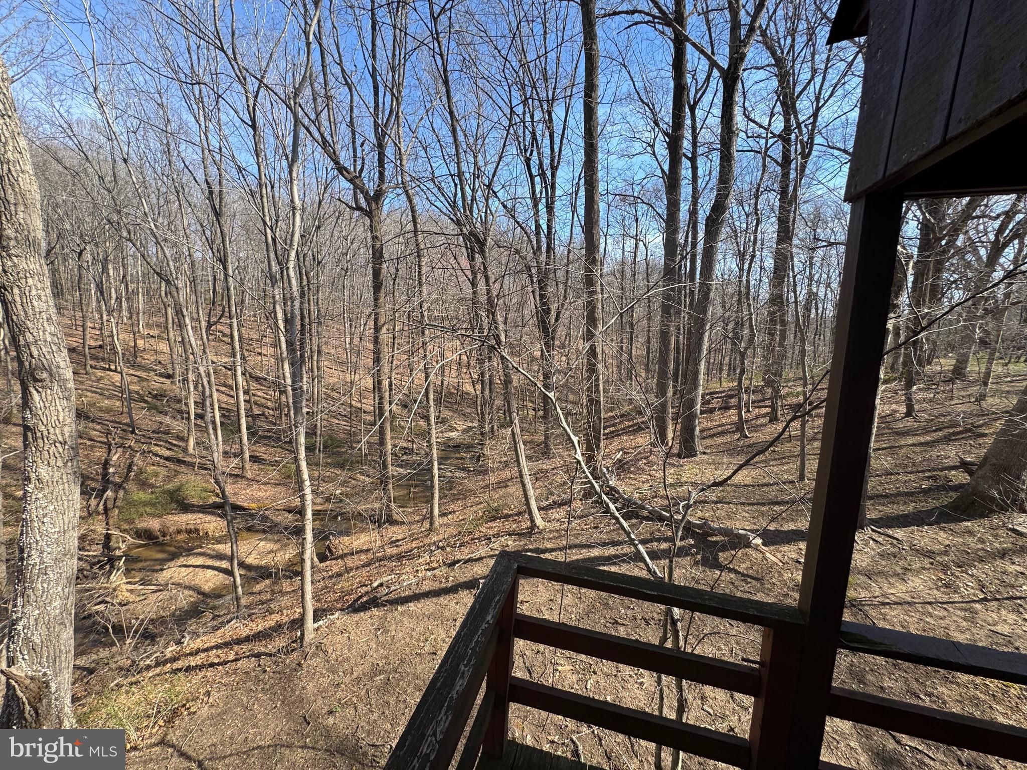 9409 Elizabeth Court Fulton, MD 20759 - Photo 46 of 75 View of brook, from Treehouse Balcony