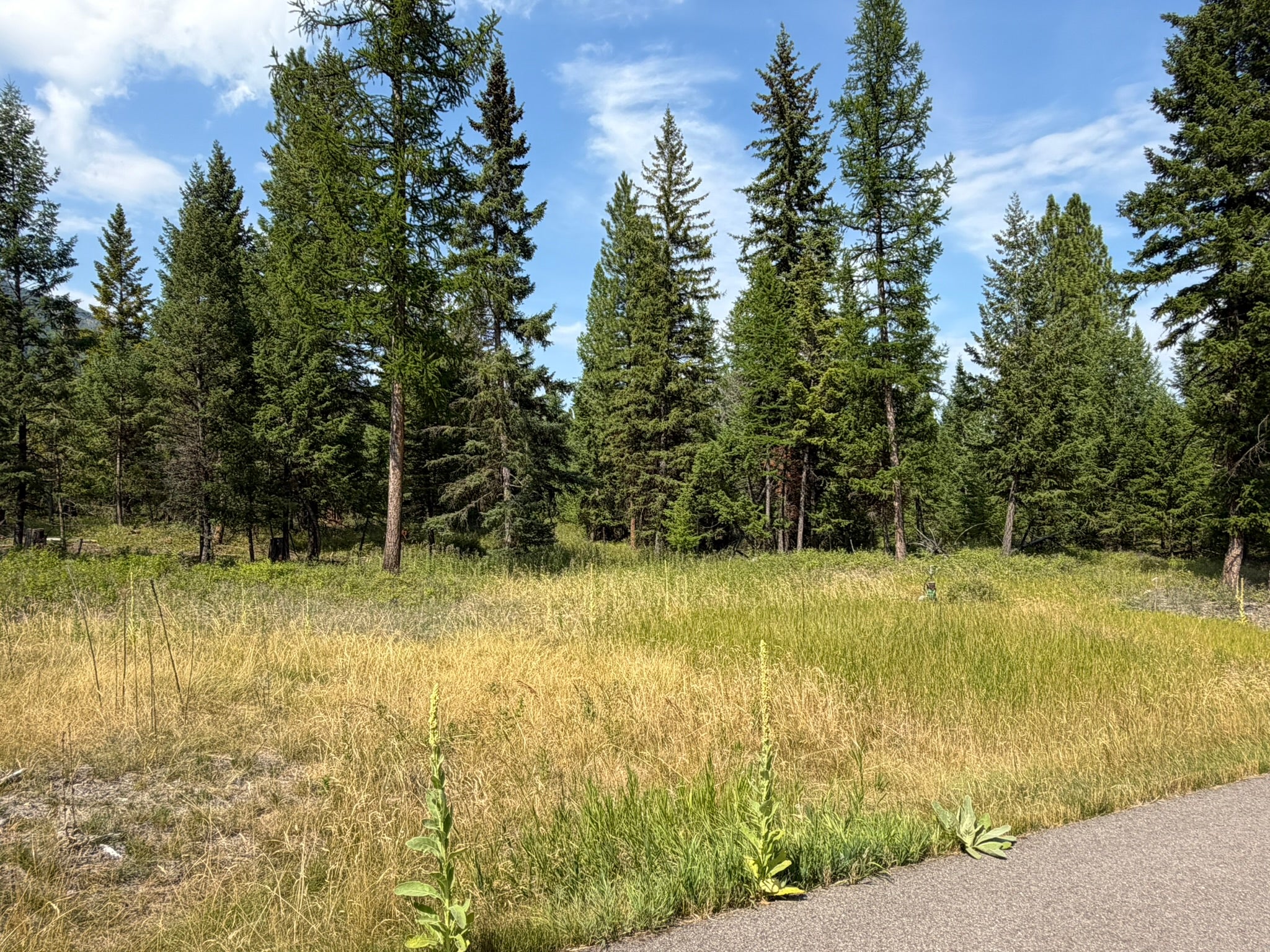 517 Haskill Rnch Road Kila, MT 59920 - Photo 3 of 26 Gallery Image 3