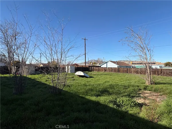 a view of a green field