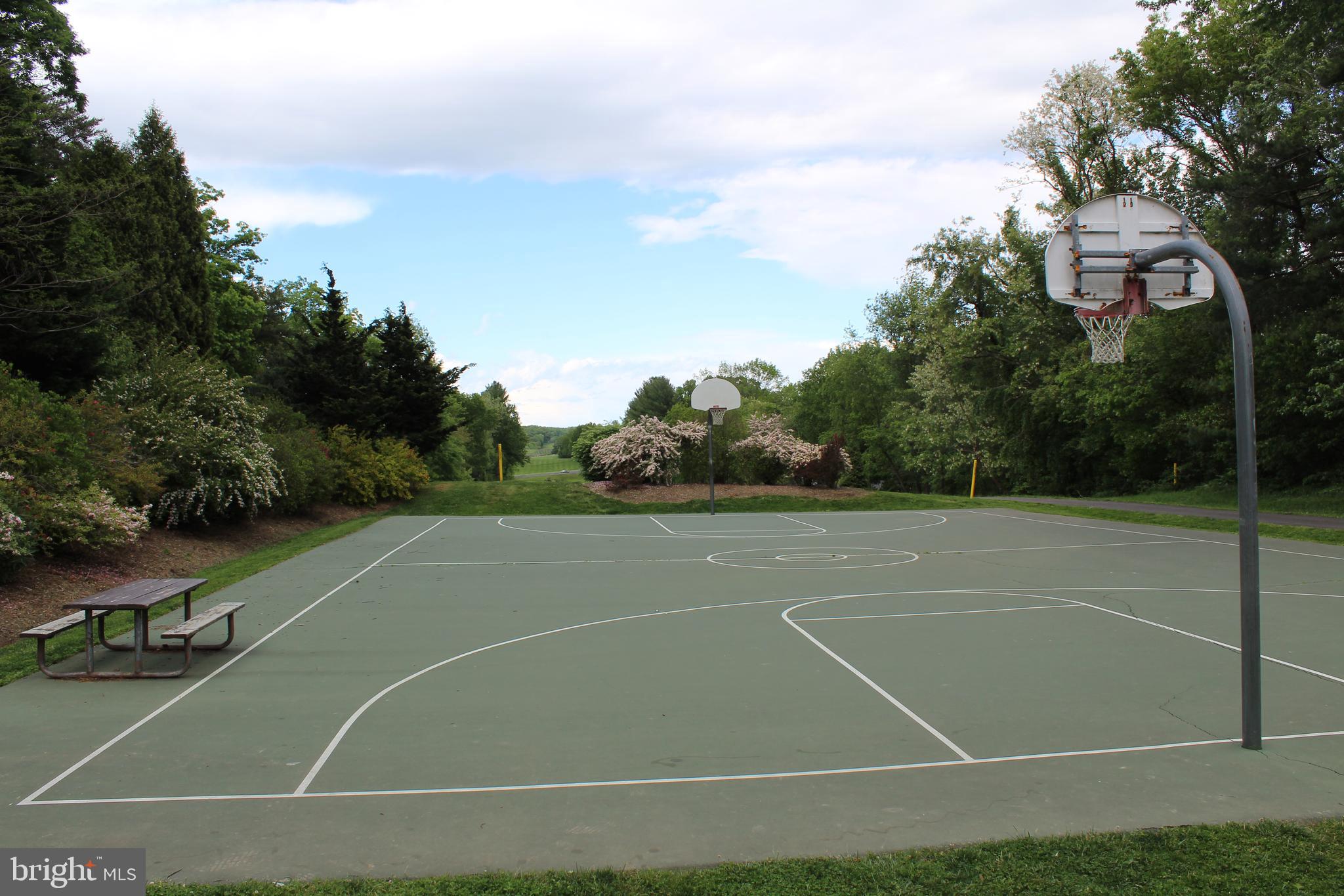 11024 Saffold Way Reston, VA 20190 - Photo 49 of 50 a view of a tennis court