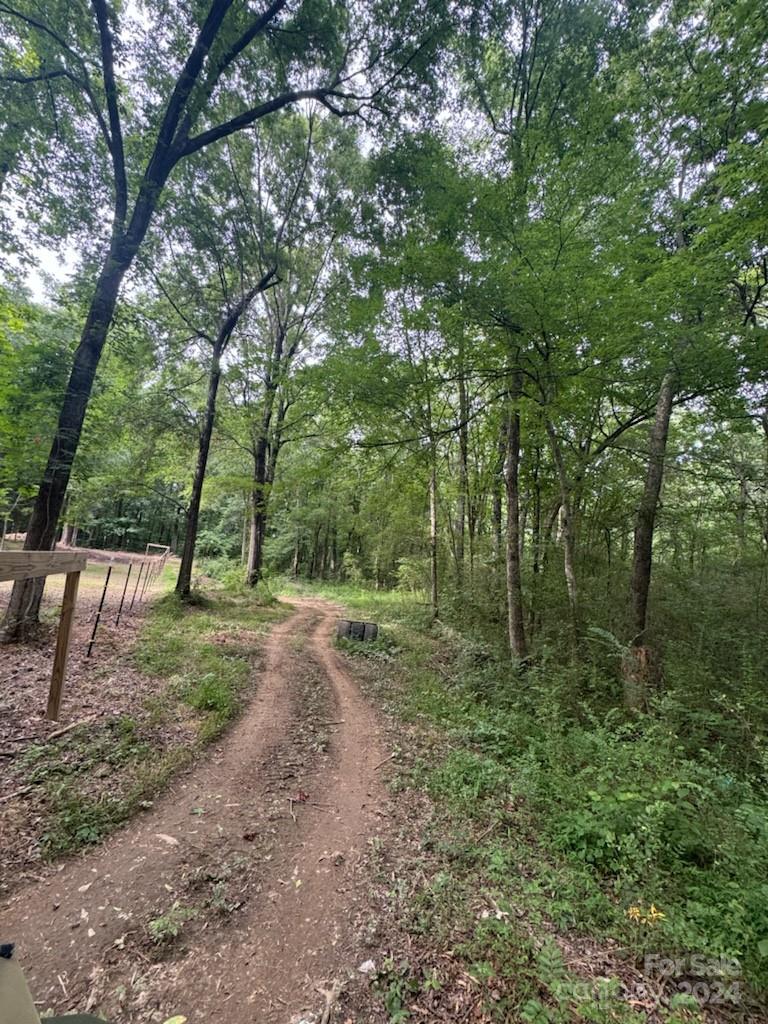 5015 Medlin Road Monroe, NC 28112 - Photo 17 of 19 a view of a forest with trees in the background