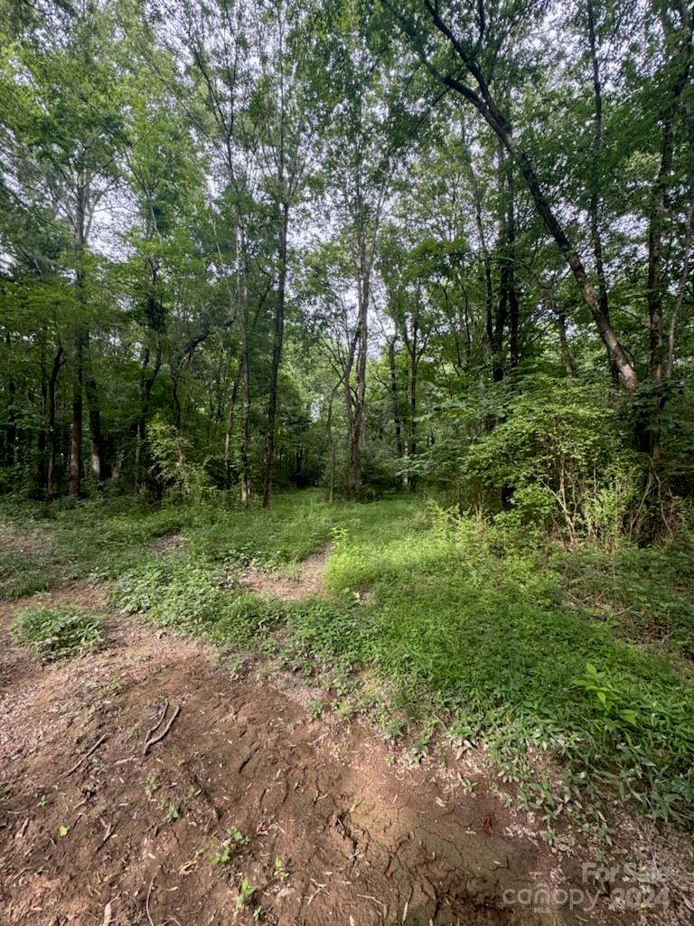 5015 Medlin Road Monroe, NC 28112 - Photo 18 of 19 a big yard with lots of green space and deers