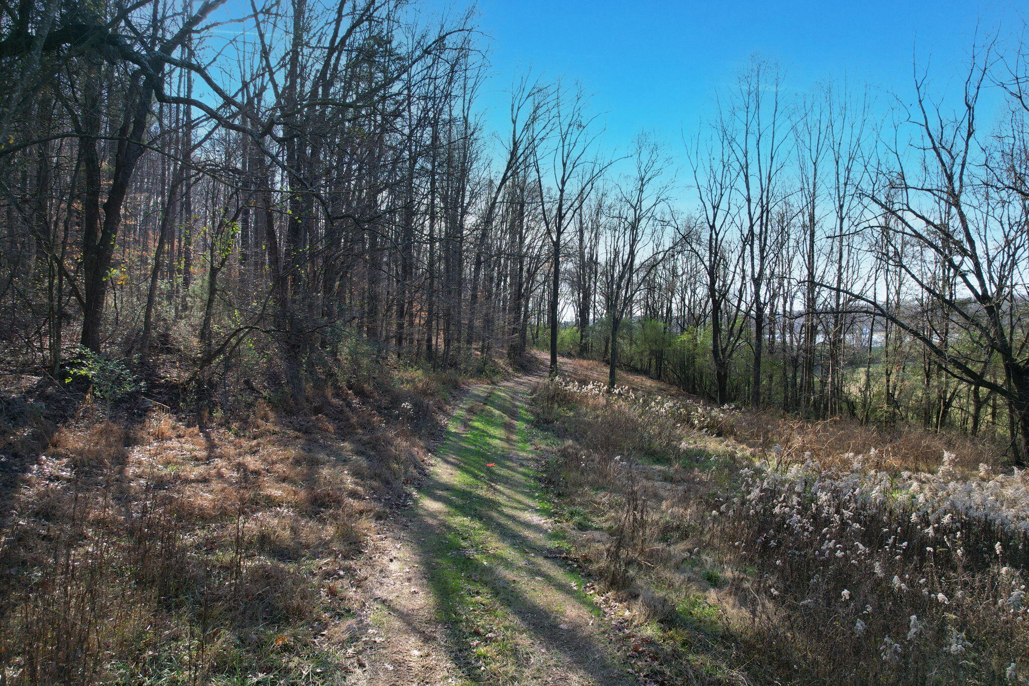 2 Southwest Weatherly Switch Trail Cleveland, TN 37311 - Photo 3 of 11 13-web-or-mls-DJI_0015