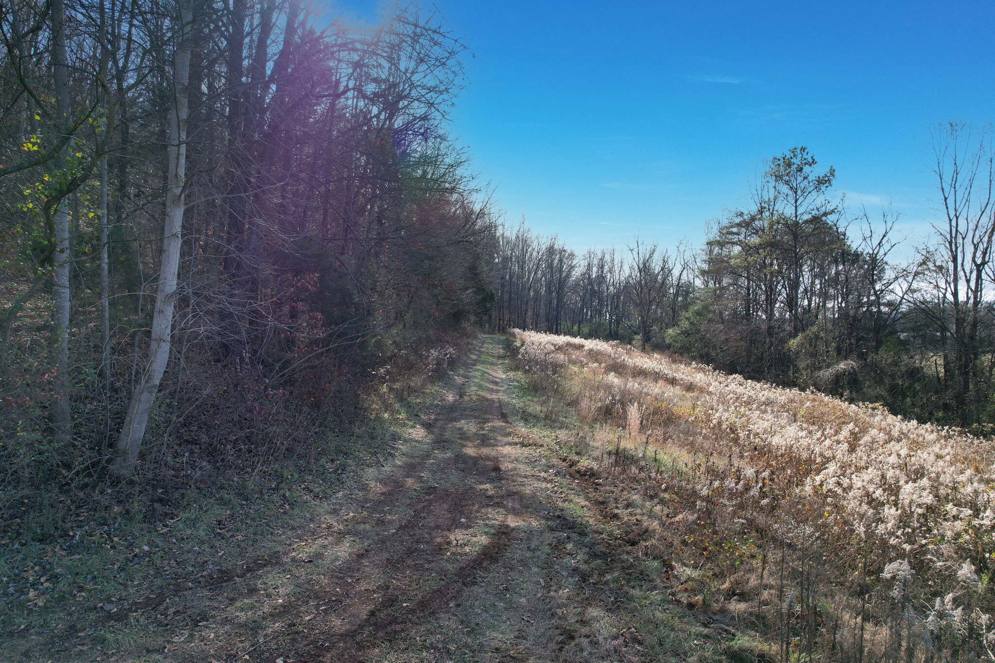 2 Southwest Weatherly Switch Trail Cleveland, TN 37311 - Photo 4 of 11 12-web-or-mls-DJI_0014