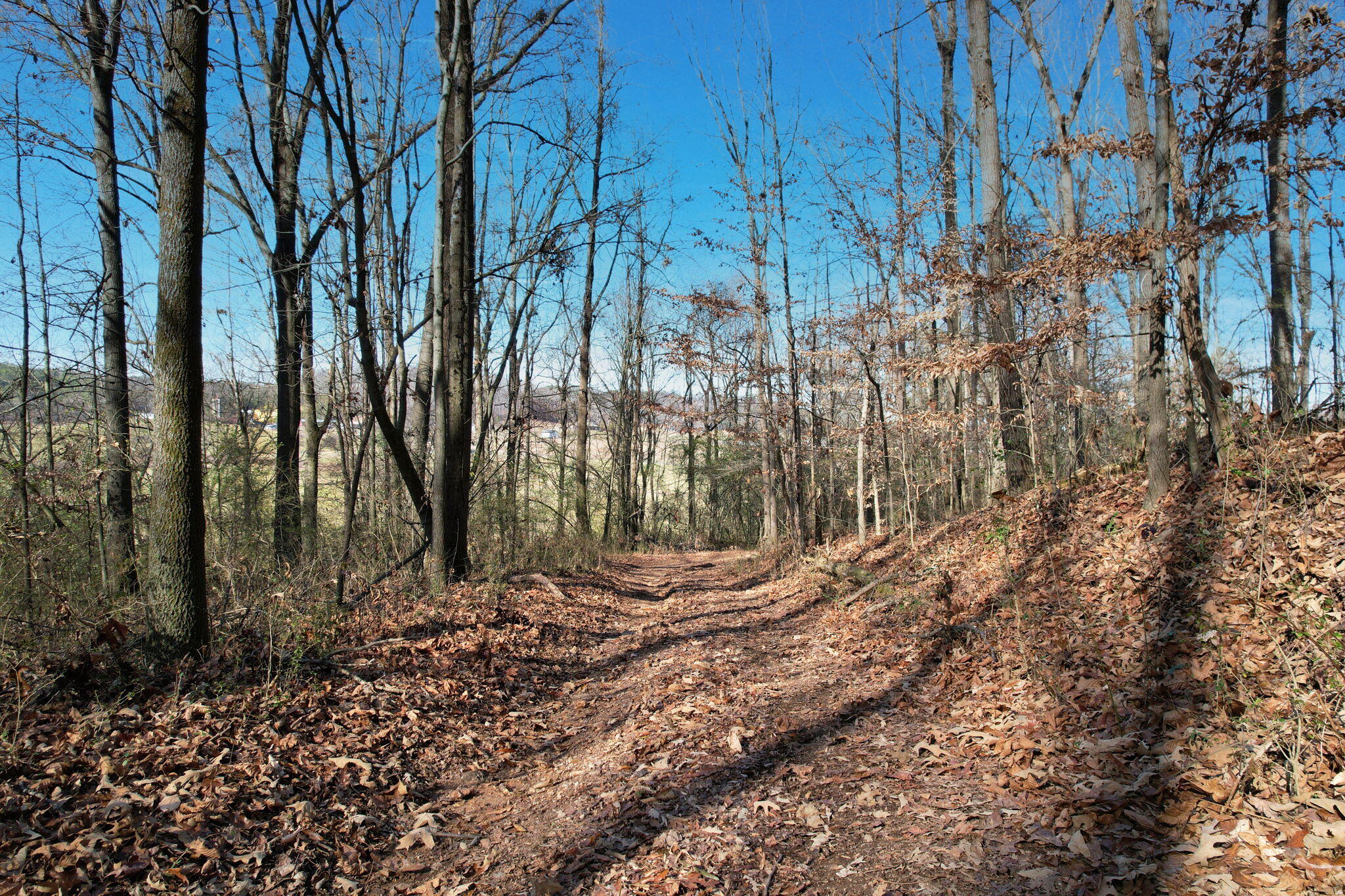 2 Southwest Weatherly Switch Trail Cleveland, TN 37311 - Photo 5 of 11 14-web-or-mls-DJI_0019