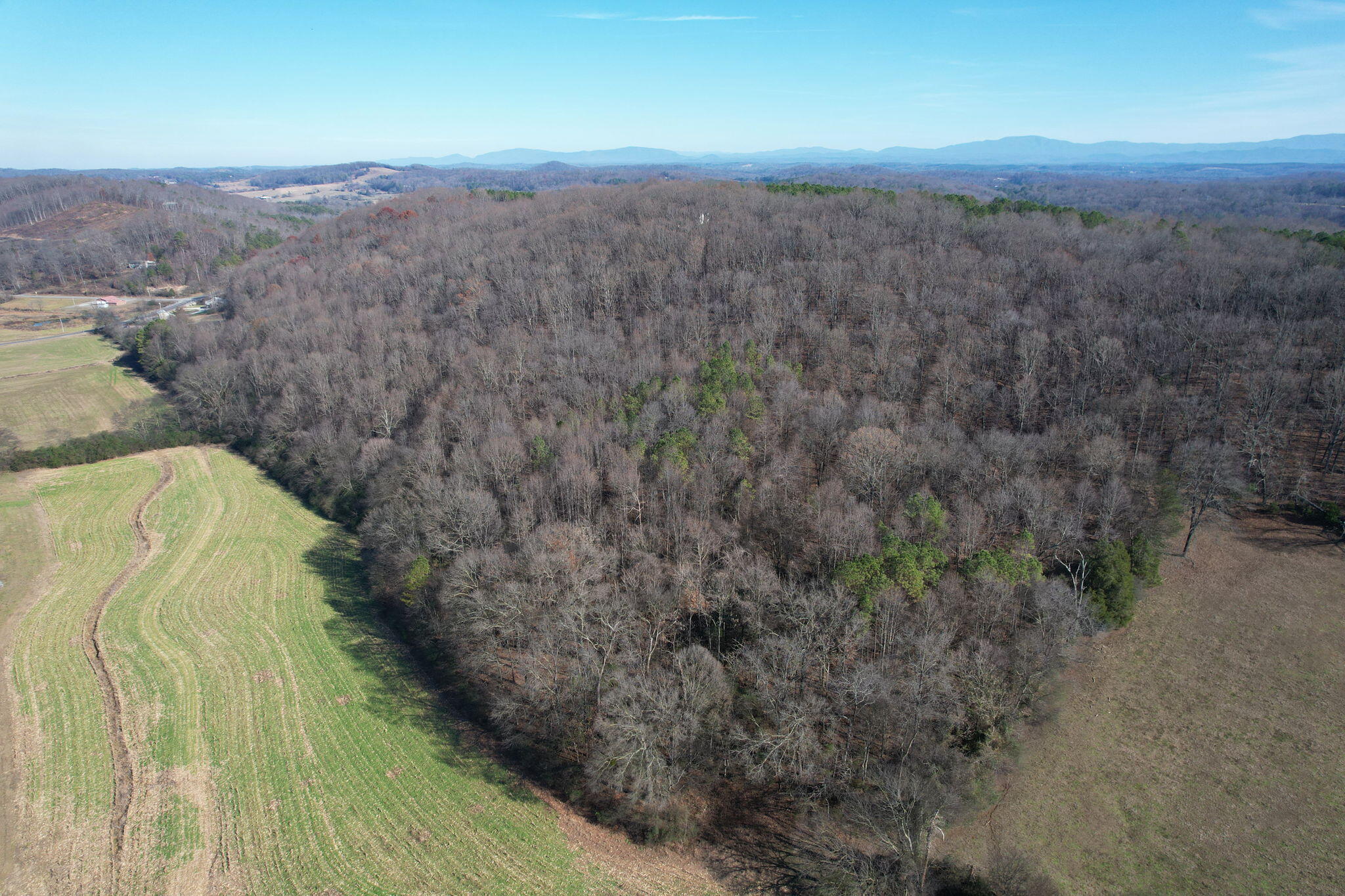 2 Southwest Weatherly Switch Trail Cleveland, TN 37311 - Photo 8 of 11 26-web-or-mls-DJI_0993