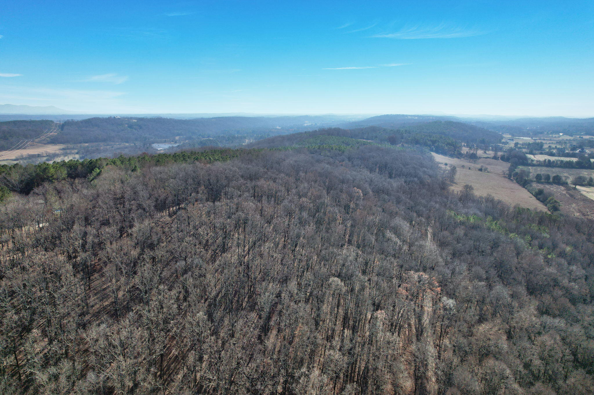 2 Southwest Weatherly Switch Trail Cleveland, TN 37311 - Photo 10 of 11 29-web-or-mls-DJI_0998