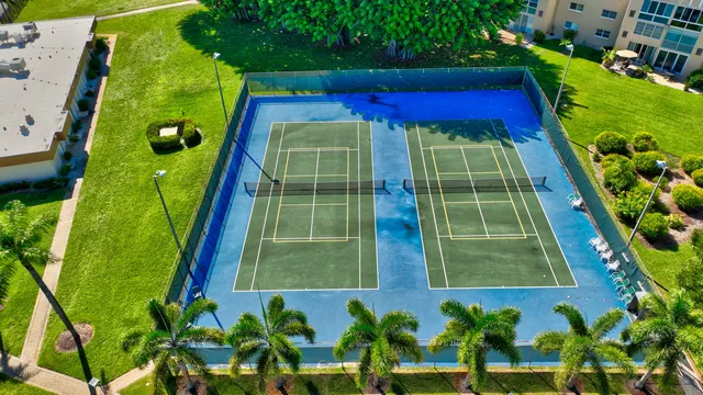 a view of a city with flower plants