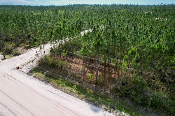 $25,000 | 0 Elmer Thrift Road, Waycross, GA 31503