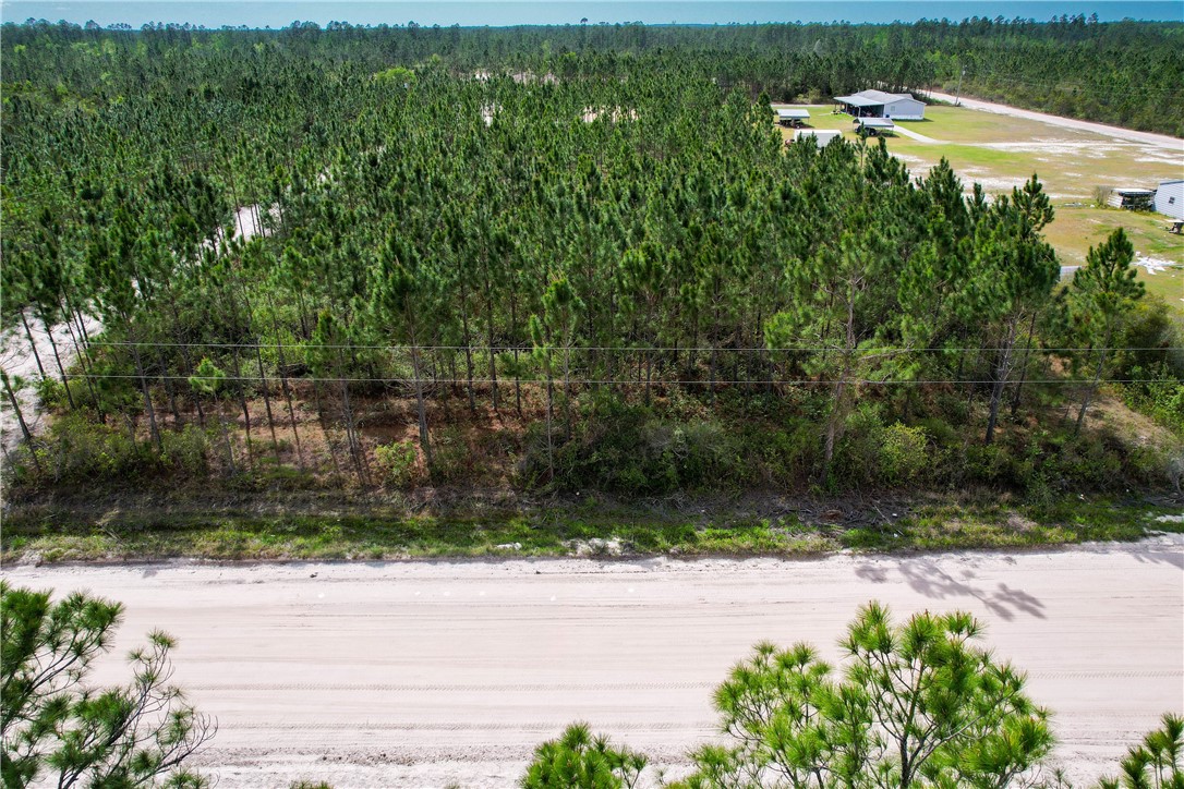 0 Elmer Thrift Road Waycross, GA 31503 - Photo 12 of 13