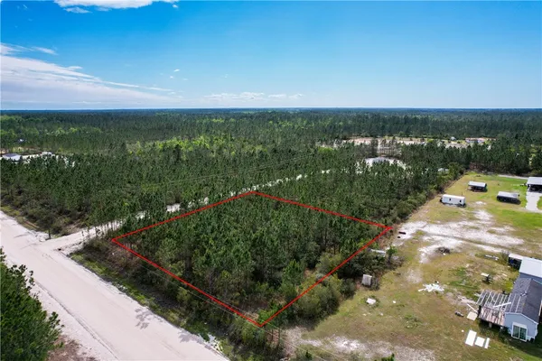 $25,000 | 0 Elmer Thrift Road, Waycross, GA 31503