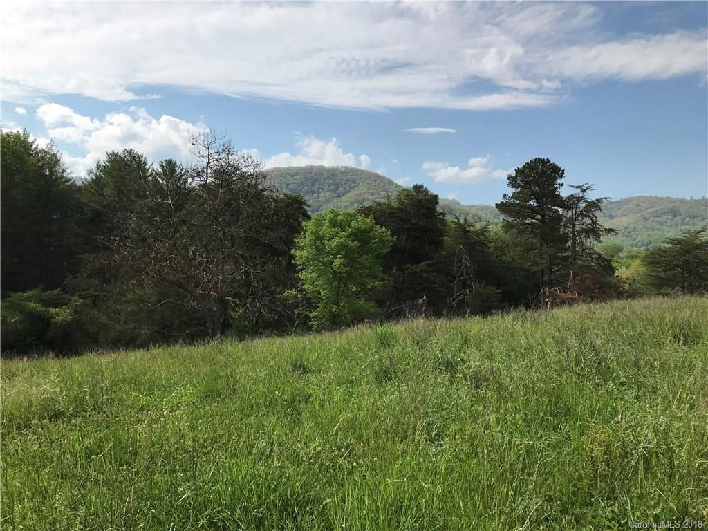 4150 Thickety Road Clyde, NC 28721 - Photo 1 of 9