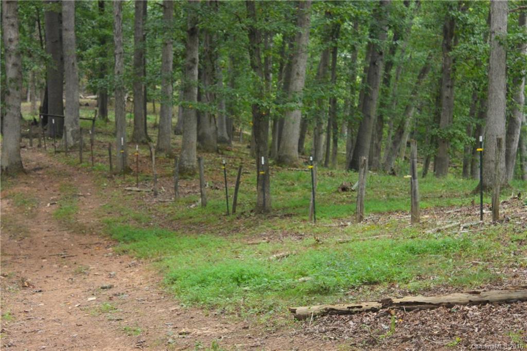 4150 Thickety Road Clyde, NC 28721 - Photo 2 of 9