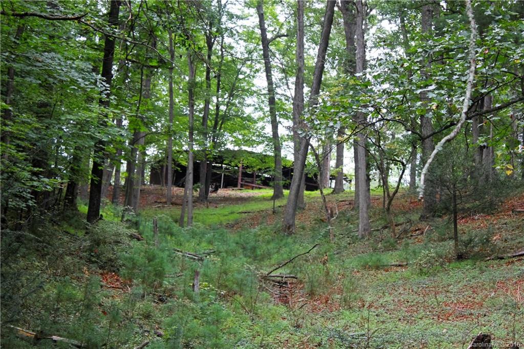 4150 Thickety Road Clyde, NC 28721 - Photo 3 of 9