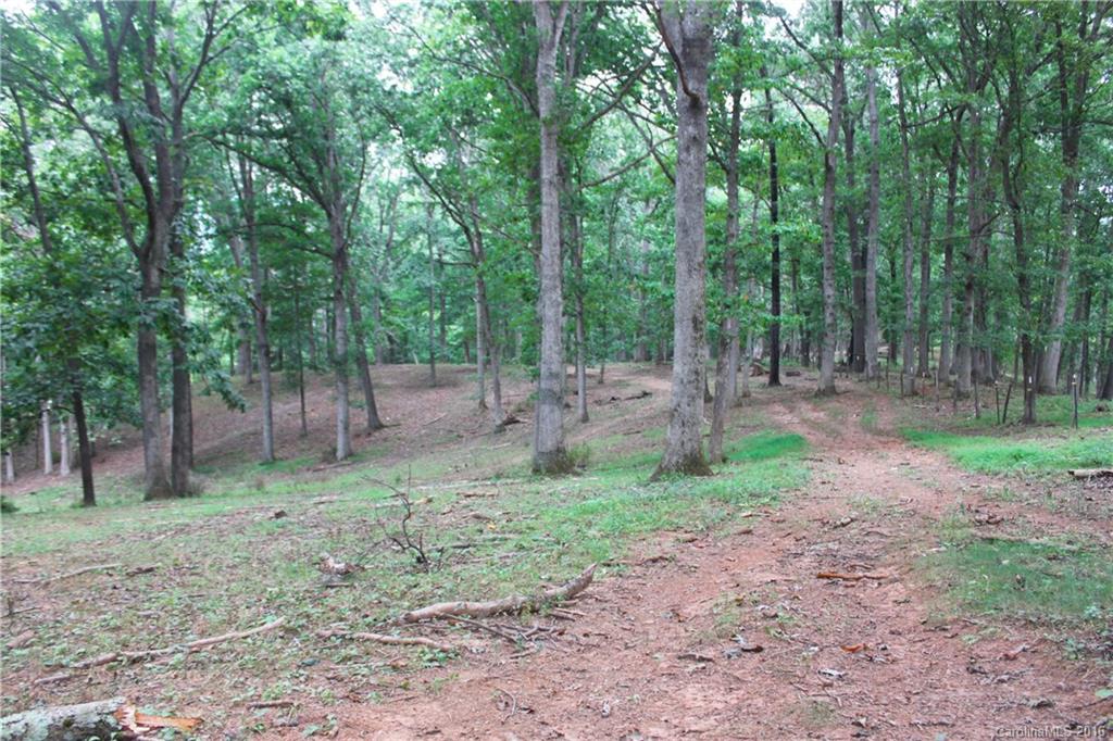 4150 Thickety Road Clyde, NC 28721 - Photo 5 of 9