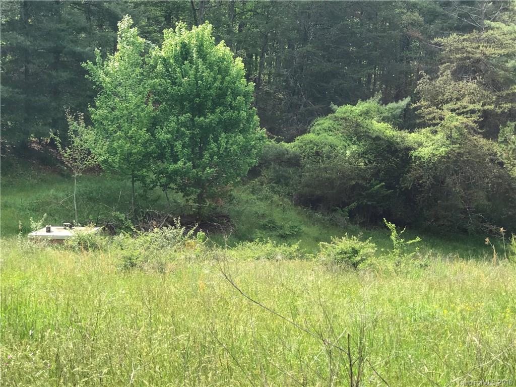 4150 Thickety Road Clyde, NC 28721 - Photo 8 of 9