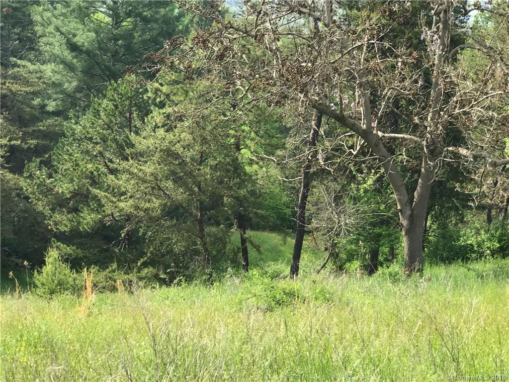 4150 Thickety Road Clyde, NC 28721 - Photo 9 of 9