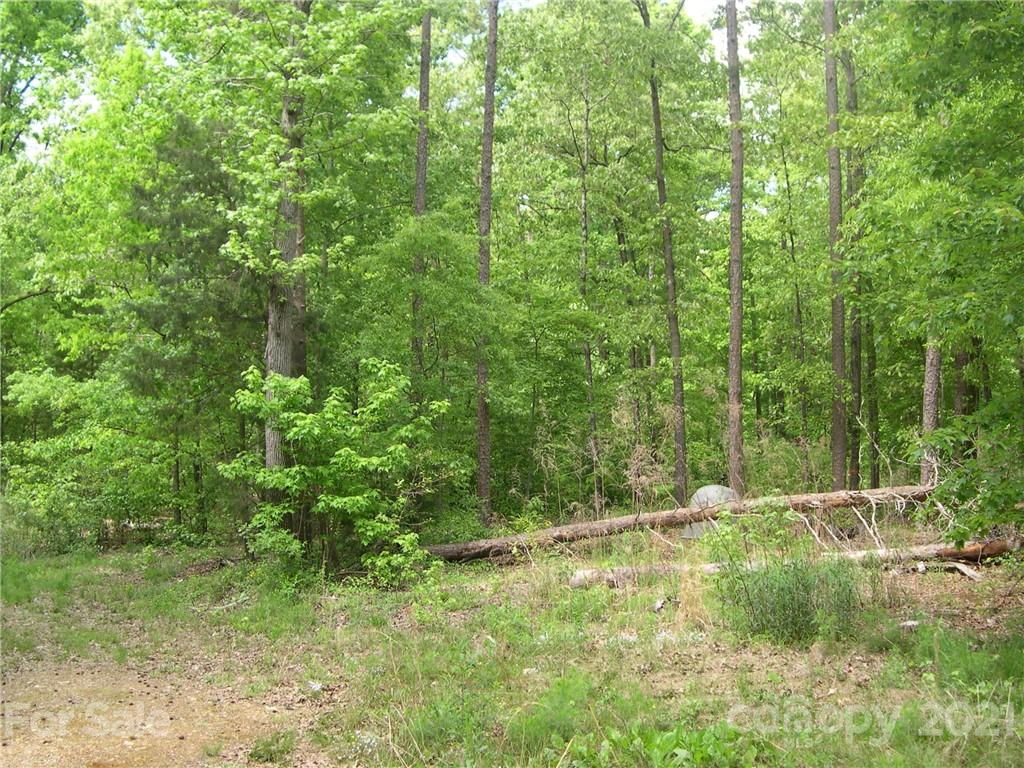 0 Coyle Road Stanfield, NC 28163 - Photo 4 of 5 Gallery Image 4