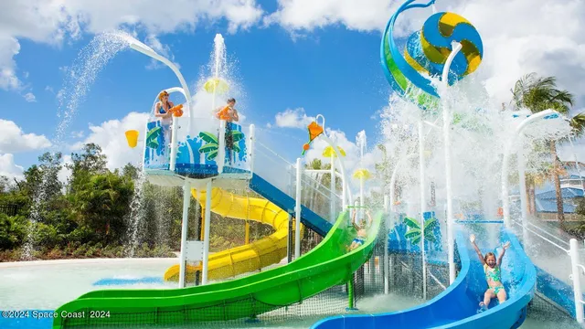 a view of a swimming pool with a garden and palm trees