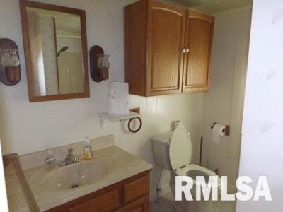 413 Ralph Street Cambria, IL 62918 - Photo 5 of 7 Gallery Image 5