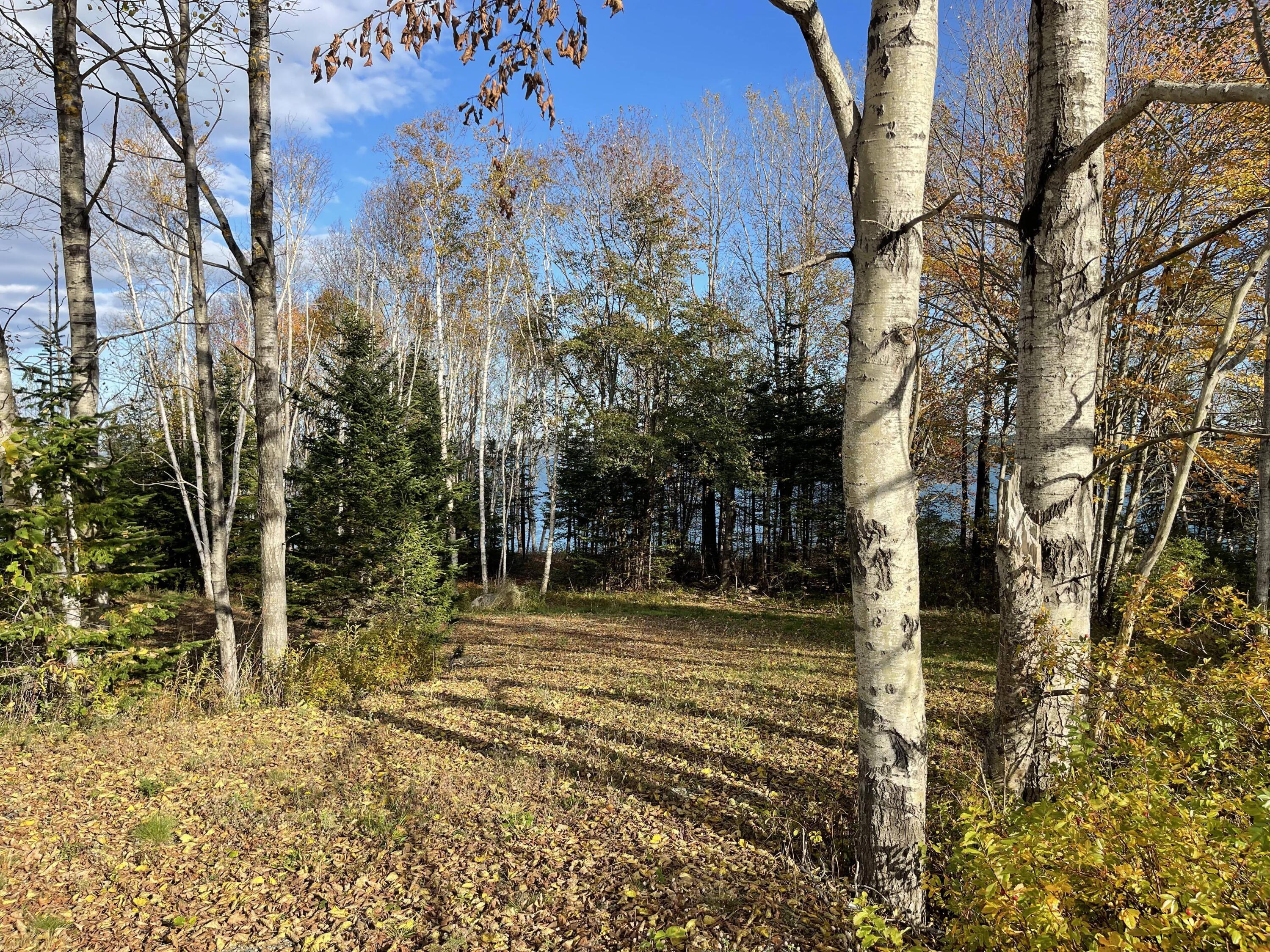 855 Mason Bay Road Jonesport, ME 04649 - Photo 3 of 3 10