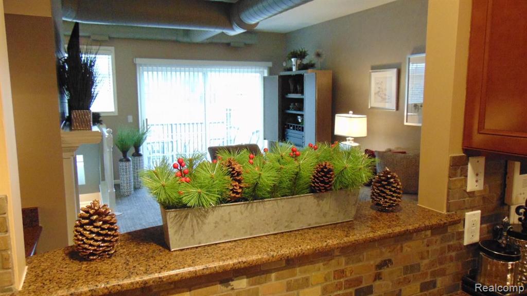 230 Mill Street Rochester, MI 48307 - Photo 12 of 45