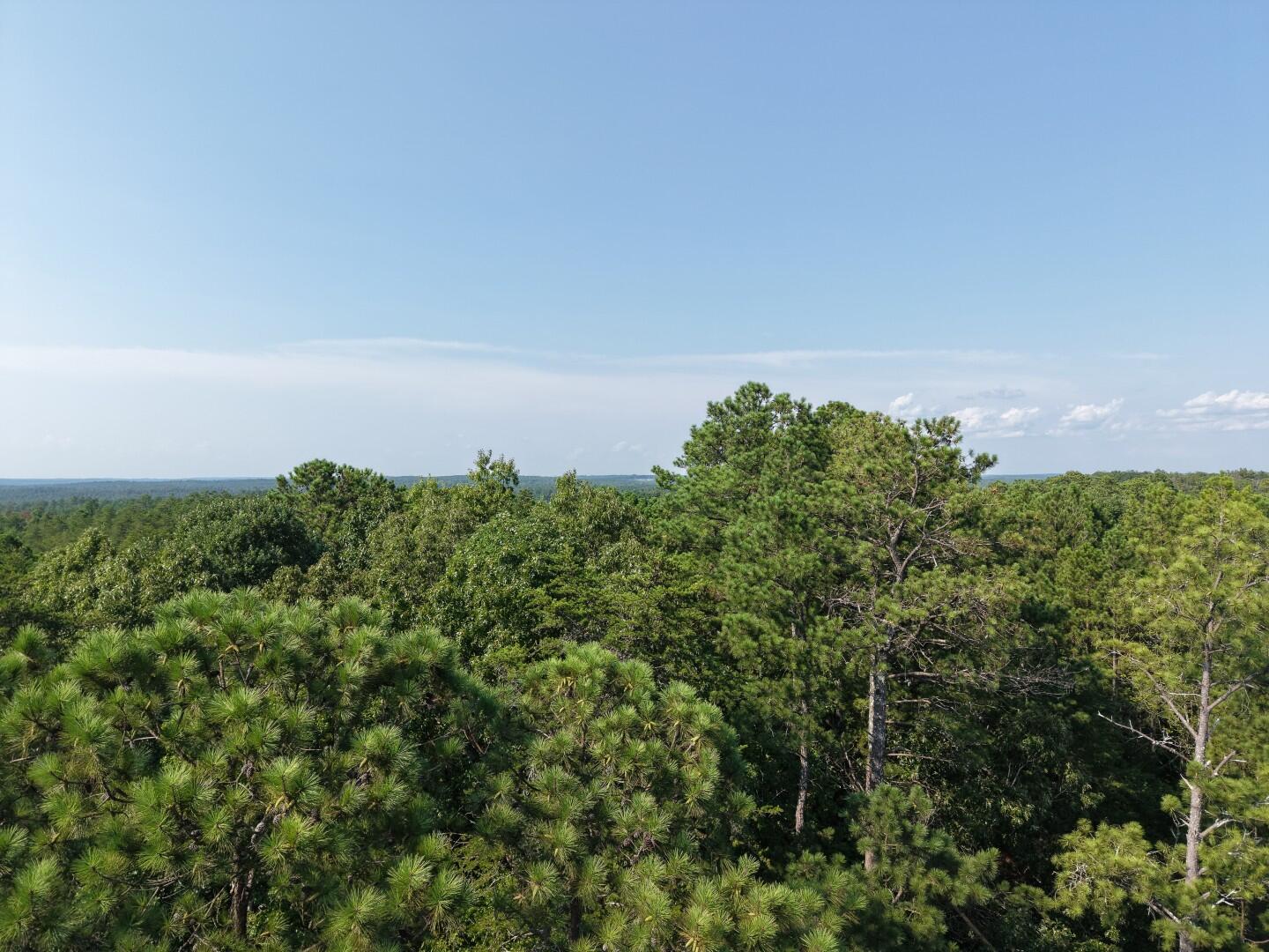 3096 State Rd S-20-33, Unit PARCEL 1 Blair, SC 29015 - Photo 4 of 32 DJI_20260811165405_0240_D (Large)
