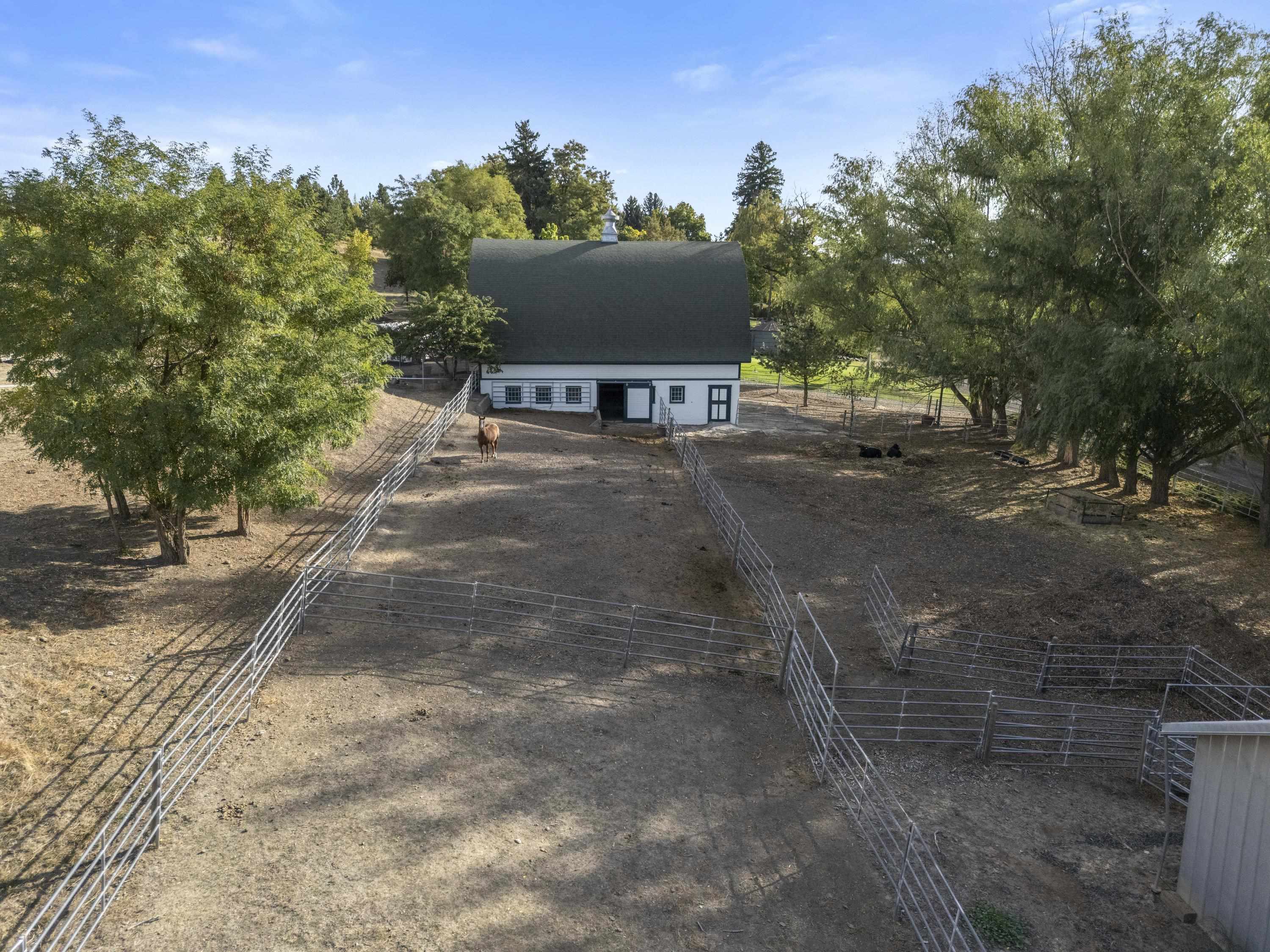 3351 Lone Pine Road Oakesdale, WA 99158 - Photo 36 of 50