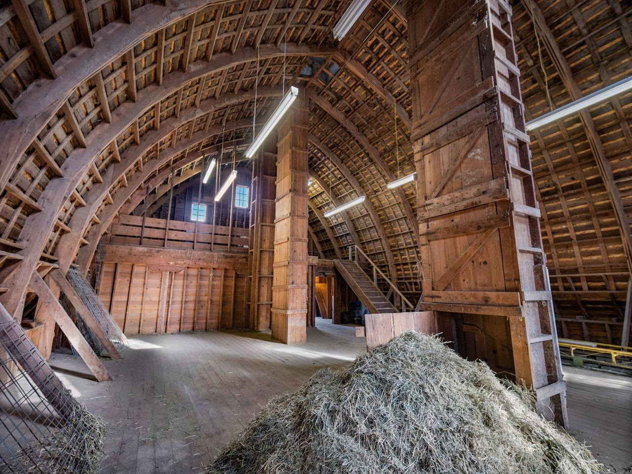 3351 Lone Pine Road Oakesdale, WA 99158 - Photo 38 of 50