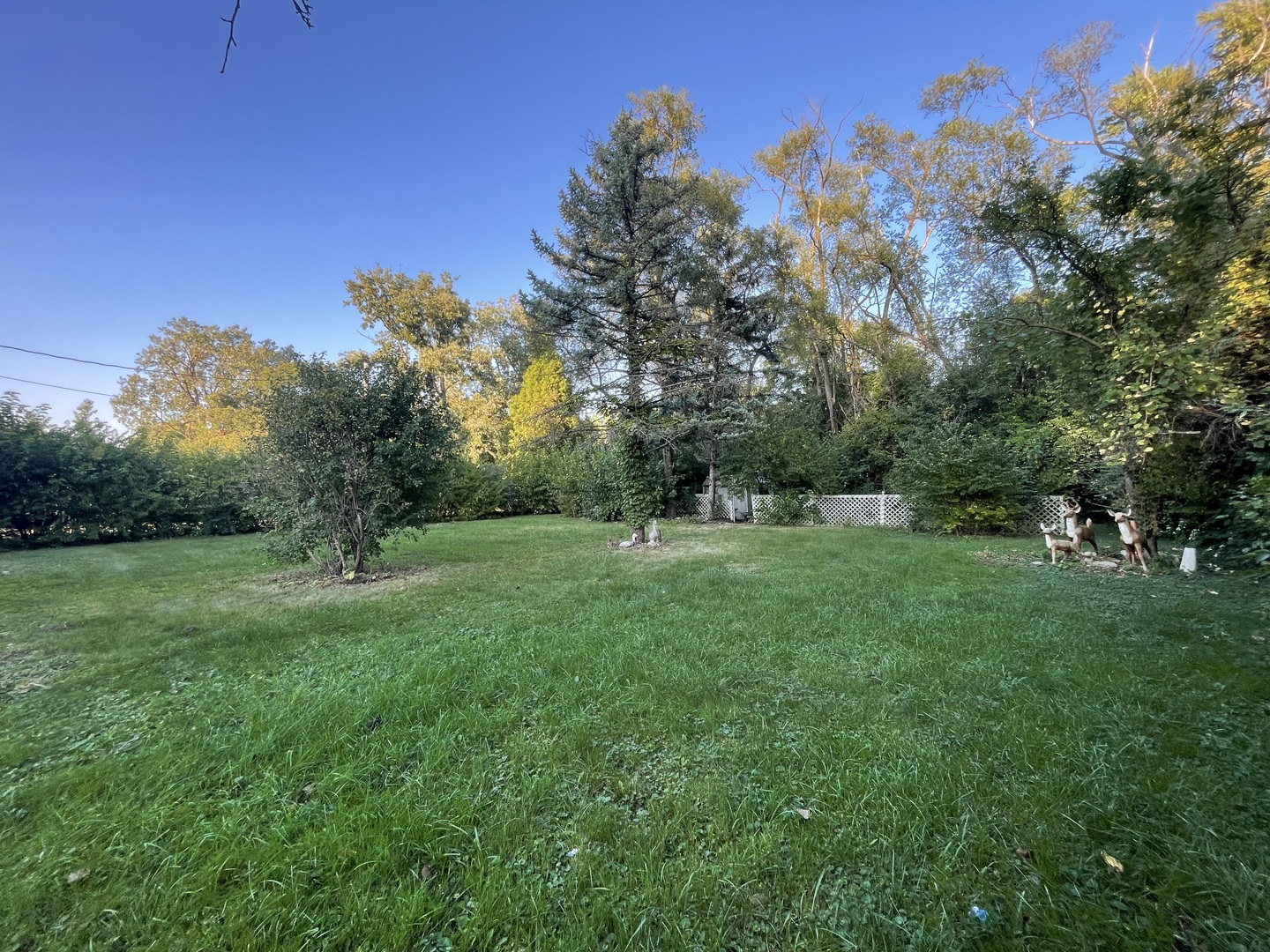 5547 South Peck Avenue Countryside, IL 60525 - Photo 23 of 26 a view of a green field with tree in the background