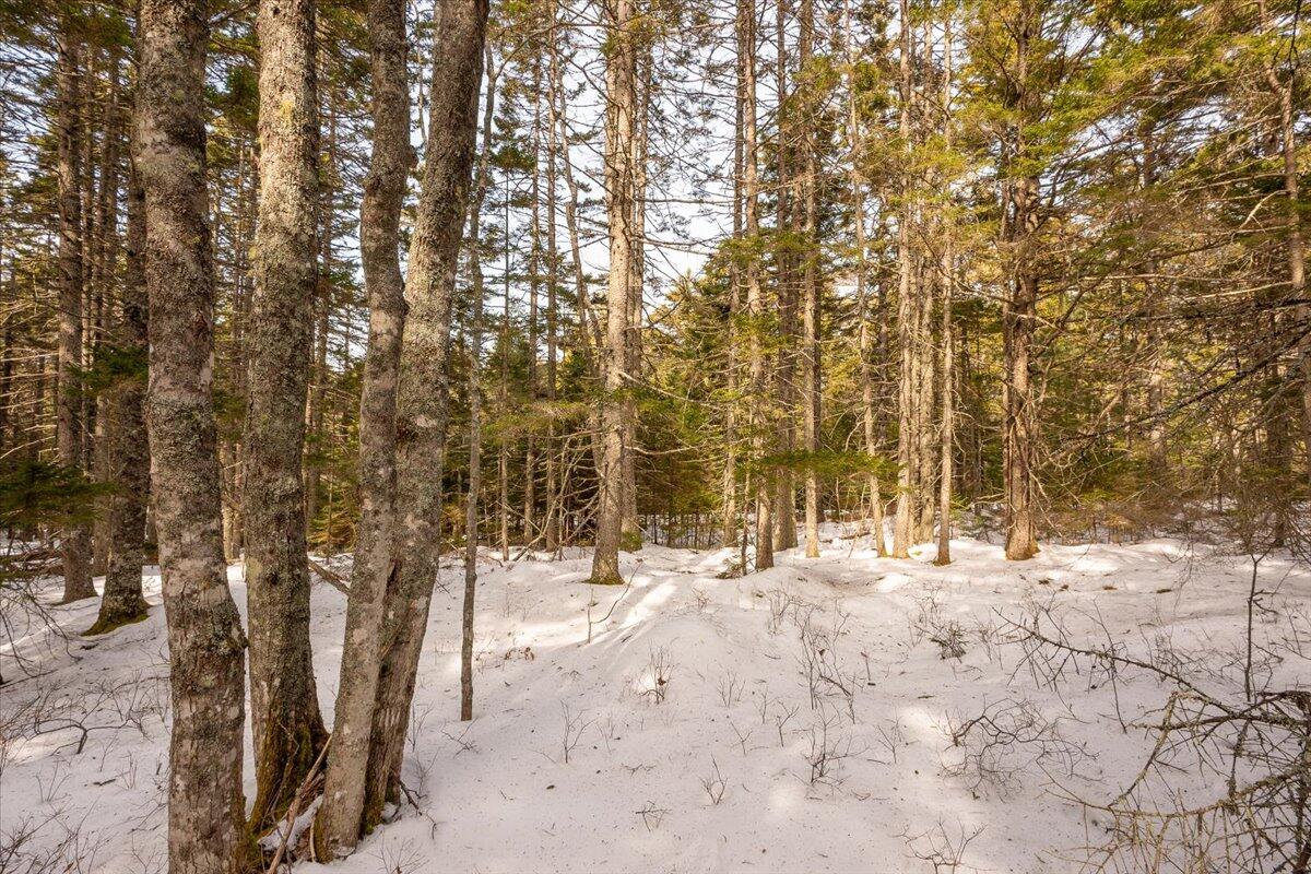 Lot 13 Nahanada Road New Harbor, ME 04554 - Photo 27 of 94 14-Nahanda-10