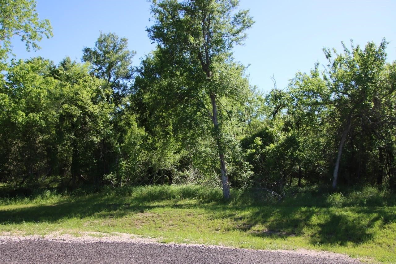 0 Chappell Reserve Drive Washington, TX 77880 - Photo 10 of 12 a view of a yard with a tree