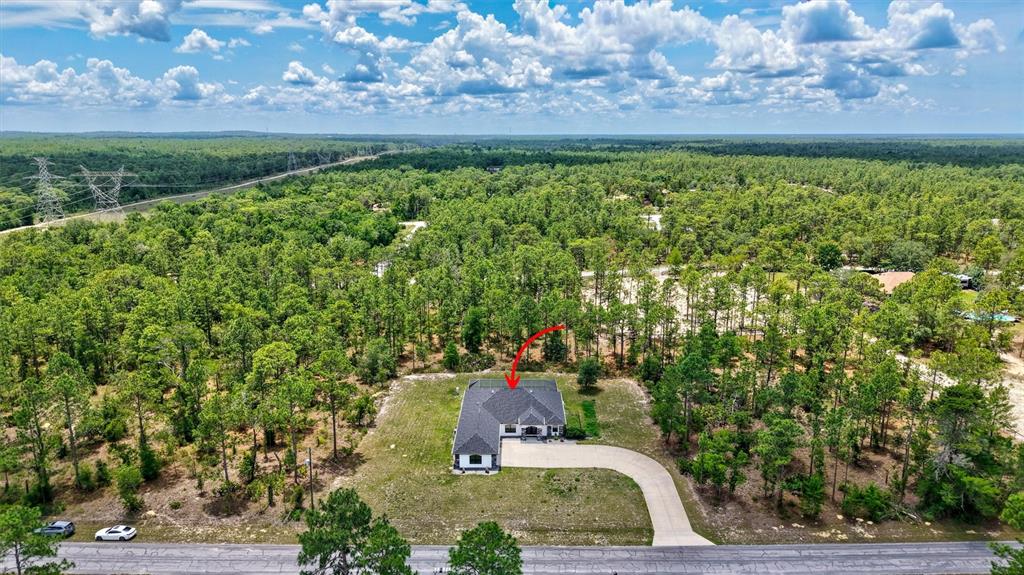 13362 Downy Woodpecker Road Weeki Wachee, FL 34614 - Photo 24 of 26