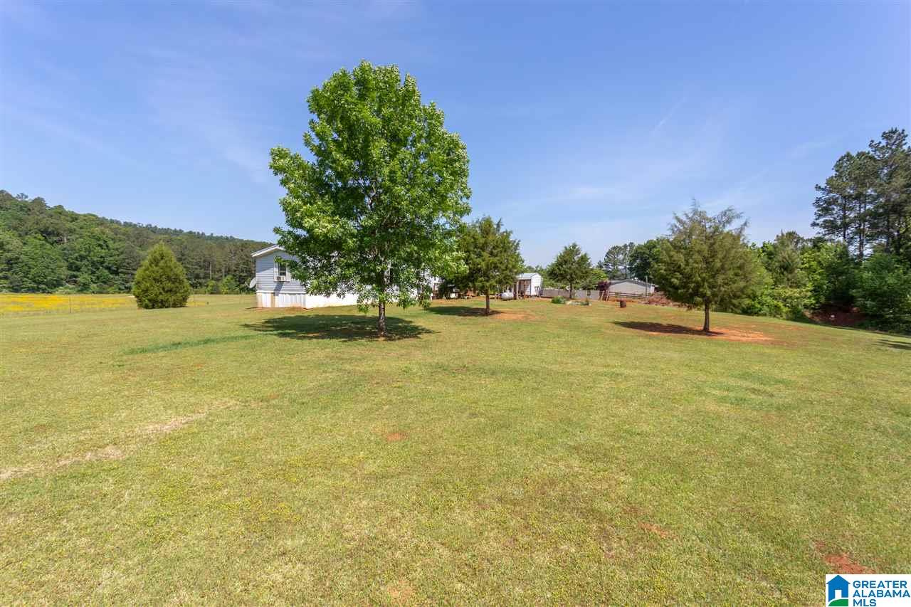 2614 Red Rd 55 Anniston, AL 36207 - Photo 7 of 30
