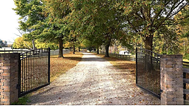 a view of a yard with a trees