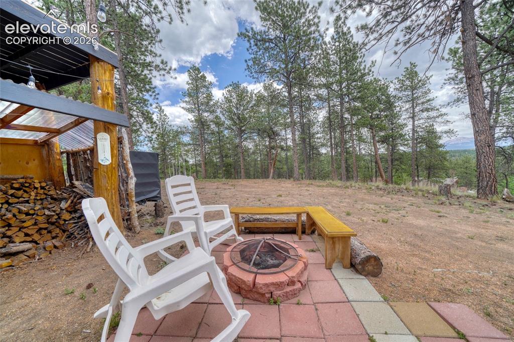 2927 Pathfinder Road Florissant, CO 80816 - Photo 13 of 37
