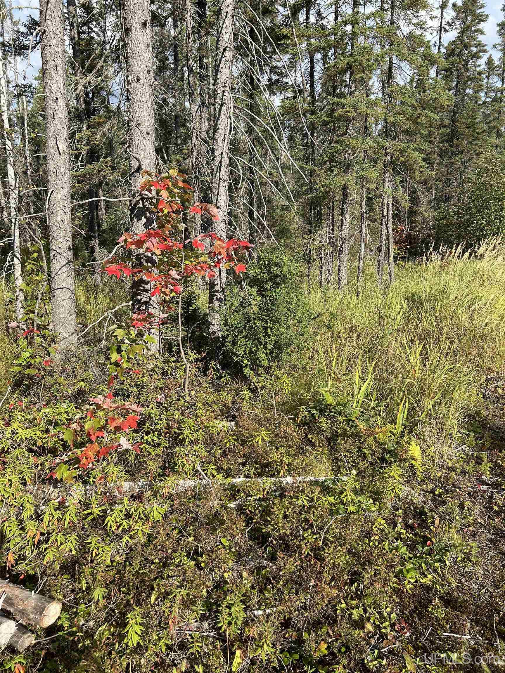 573 Rd Ishpeming Mi 49849 Road Ishpeming, MI 49849 - Photo 15 of 15