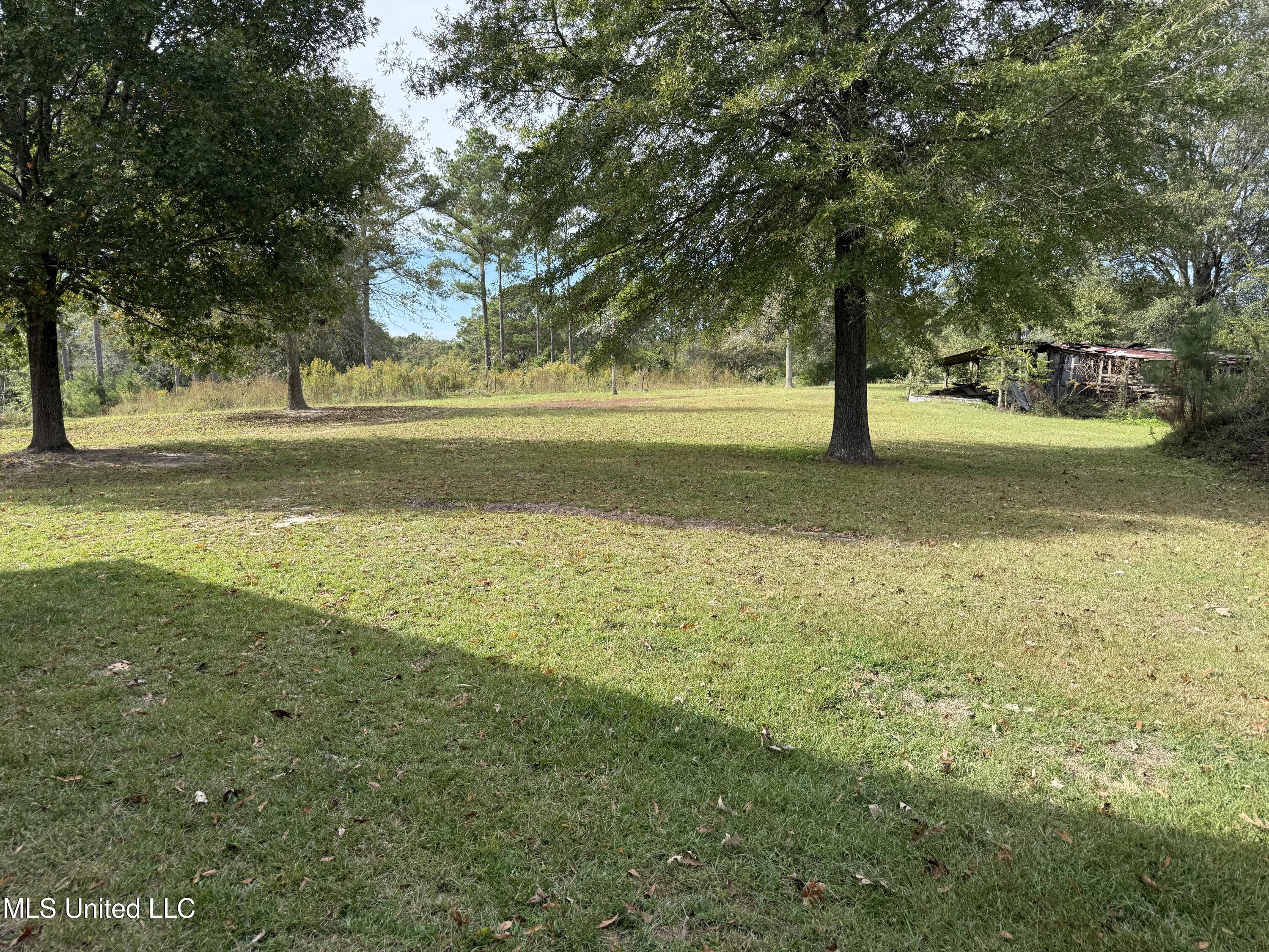 130 Beech Road Ovett, MS 39464 - Photo 8 of 46 IMG_2512