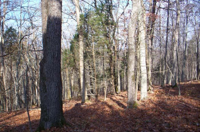 2110 Point Of Rock Road Owenton, KY 40359 - Photo 7 of 16 Gallery Image 7