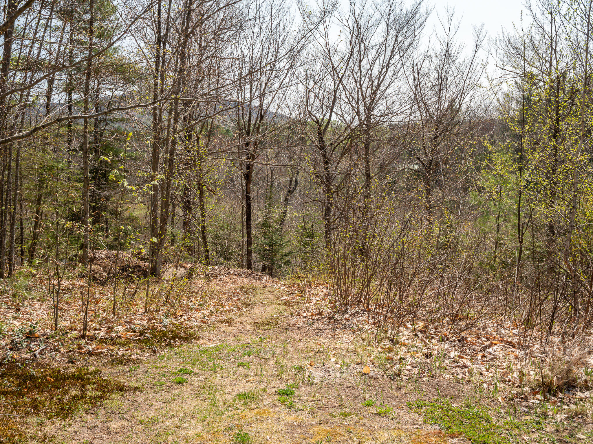 23 Pleasant Road Greenwood, ME 04255 - Photo 57 of 65 23 Pleasant Rd-49